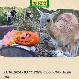 Halloween im Zoo